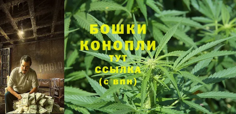 Конопля Ganja  Ступино 